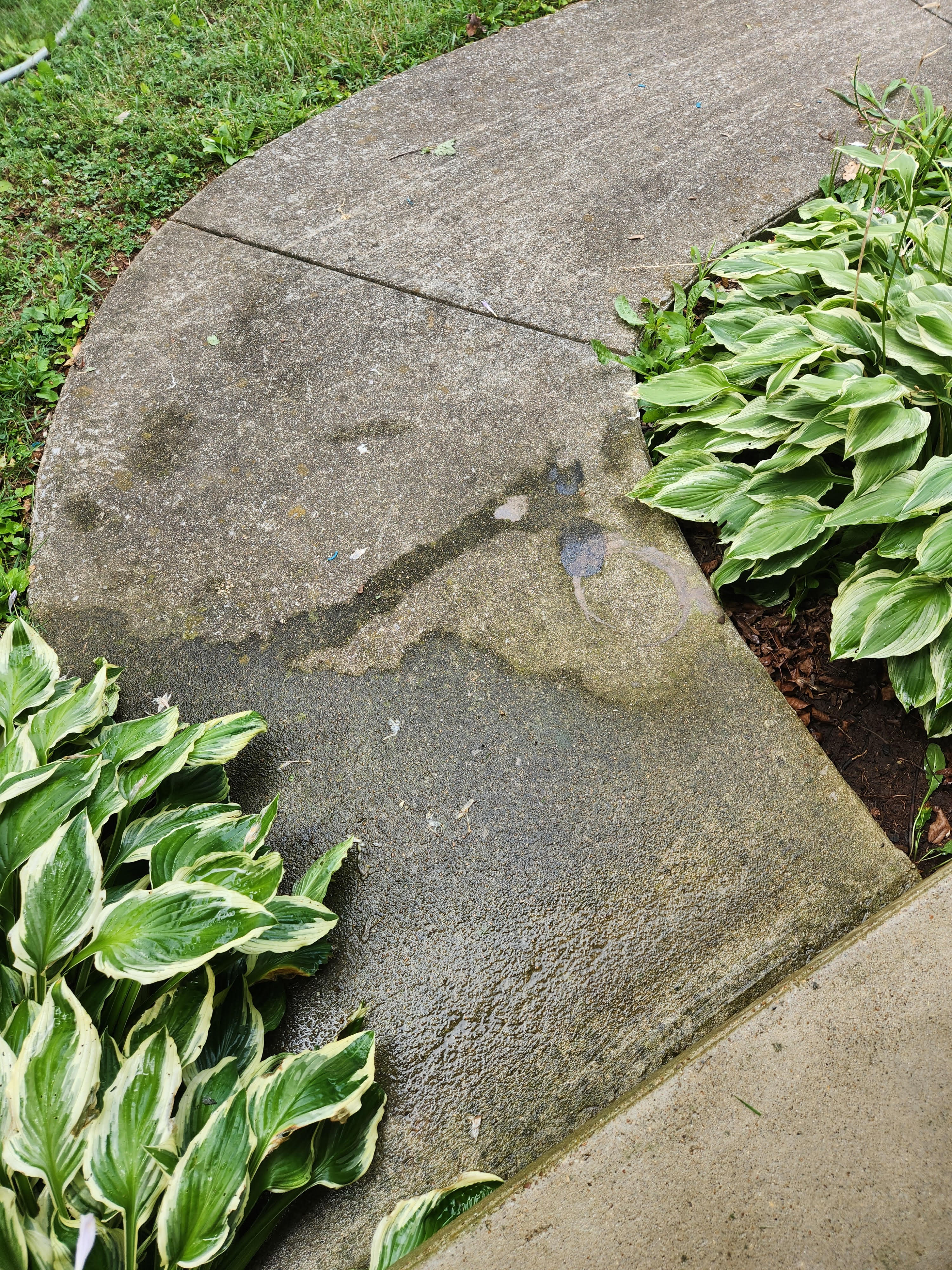 driveway-sidewalk-cleaning-before-image